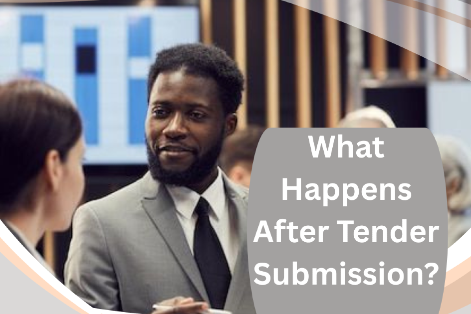 What Happens After Tender Submission?